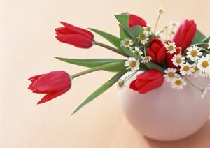 愛知県名古屋駅前ショールーム｜タカラスタンダードの特徴とアクセス情報